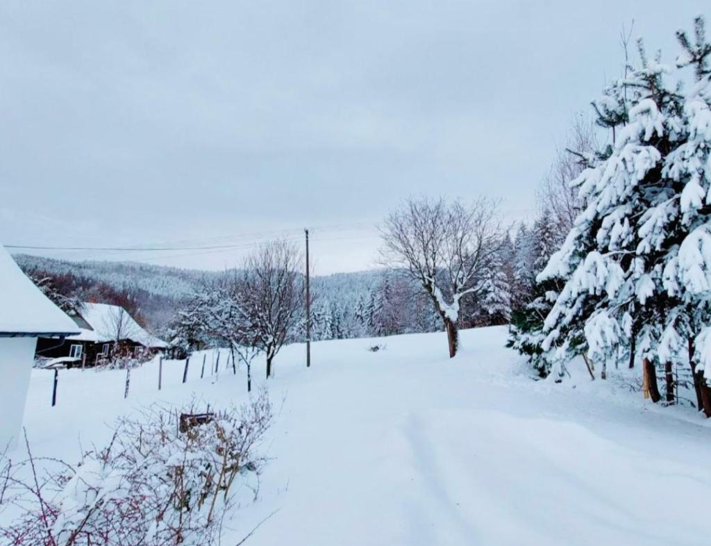 Beskidzka Oaza Targanice Exterior foto